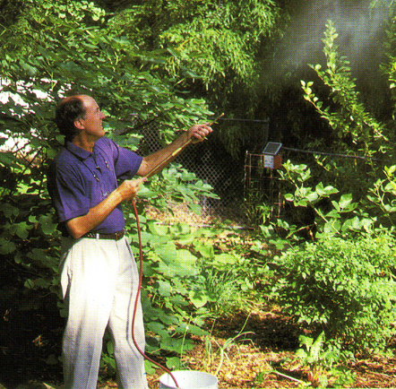 Howard Garrett applying foliar feeding with a trombone sprayer