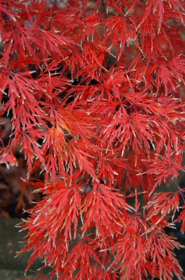 content_img.1007.img.jpg