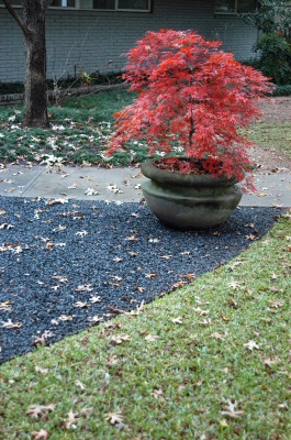 content_img.1008.img.jpg