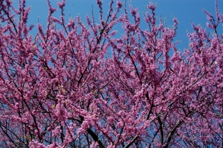 content_img.10093.img.jpg