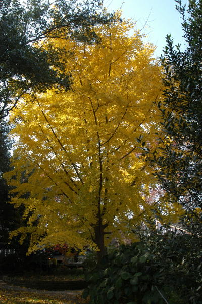 content_img.1010.img.jpg