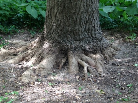 content_img.10106.img.jpg