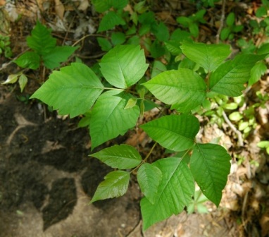 content_img.10151.img.jpg
