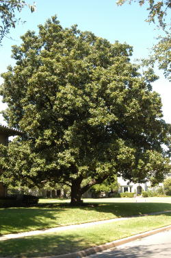 content_img.1019.img.jpg