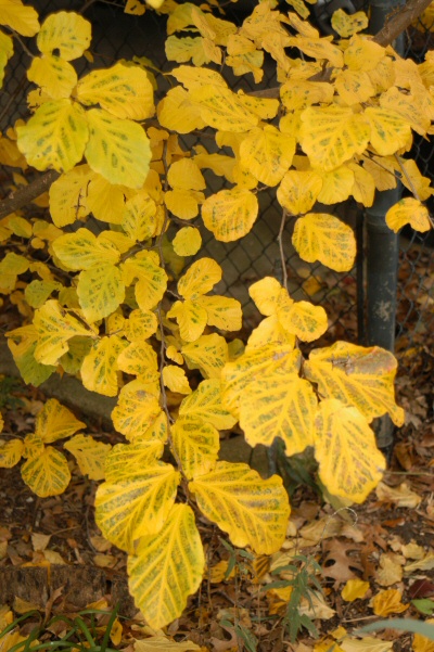 content_img.1028.img.jpg