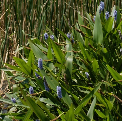 content_img.10292.img.jpg