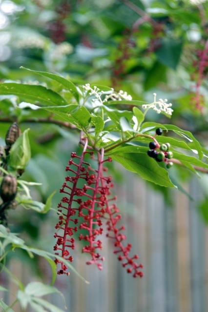 content_img.10293.img.jpg