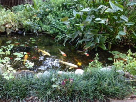 content_img.10308.img.jpg