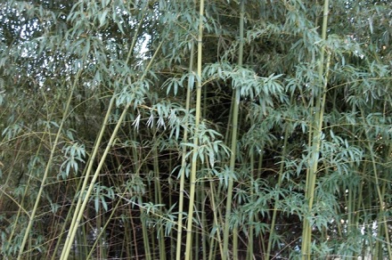 content_img.10338.img.jpg