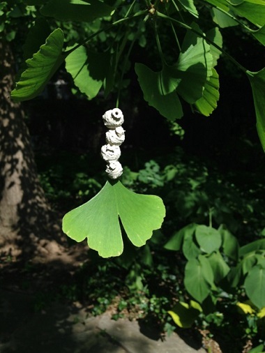 content_img.10339.img.jpg