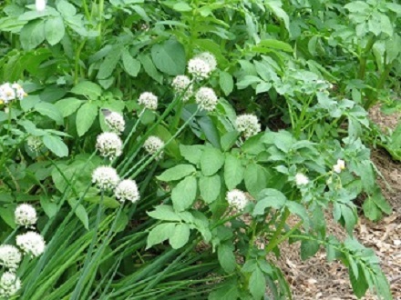 content_img.10529.img.jpg