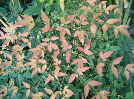 content_img.10655.img.jpg