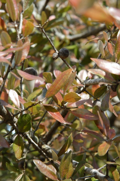 content_img.1070.img.jpg