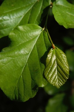 content_img.10702.img.jpg