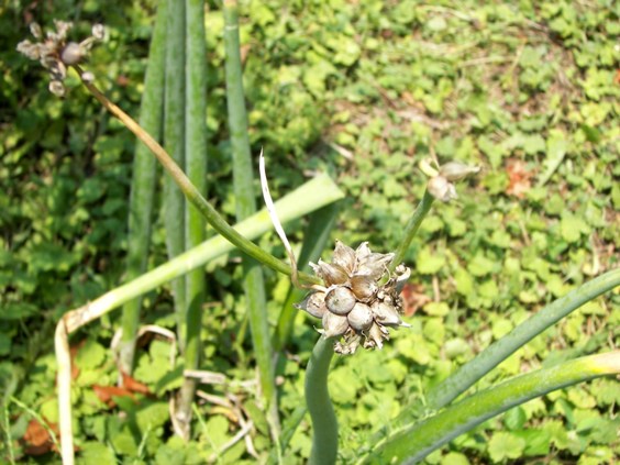 content_img.10731.img.jpg