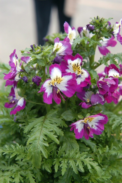 content_img.1077.img.jpg