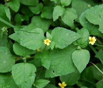content_img.10782.img.jpg