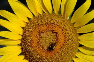 content_img.10888.img.jpg