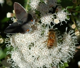 content_img.10889.img.jpg