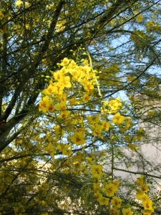 content_img.10968.img.jpg