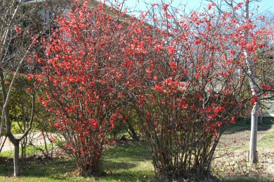 content_img.1097.img.jpg