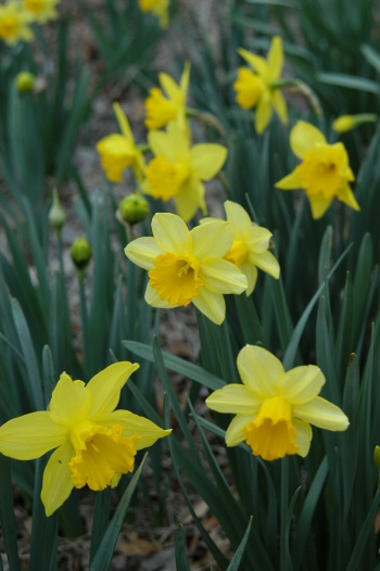 content_img.1098.img.jpg