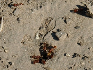 content_img.11067.img.jpg