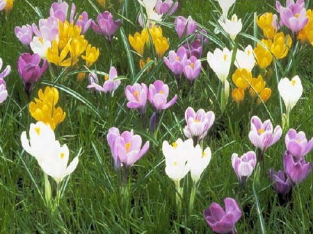 content_img.1108.img.jpg