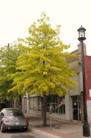 content_img.11093.img.jpg