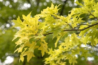 content_img.11121.img.jpg