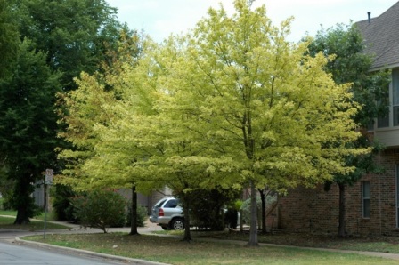 content_img.11122.img.jpg