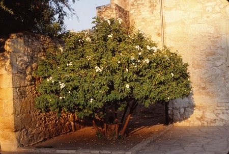 content_img.11158.img.jpg