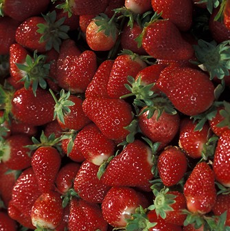 content_img.11199.img.jpg