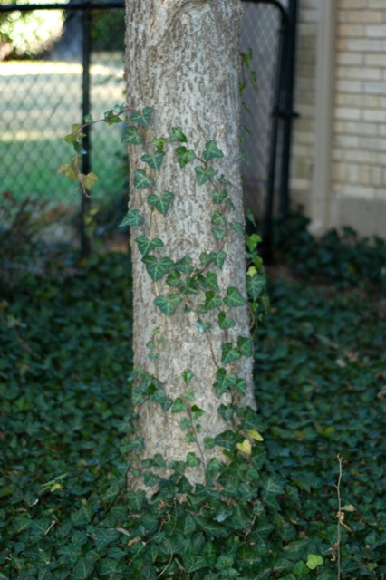 content_img.11262.img.jpg