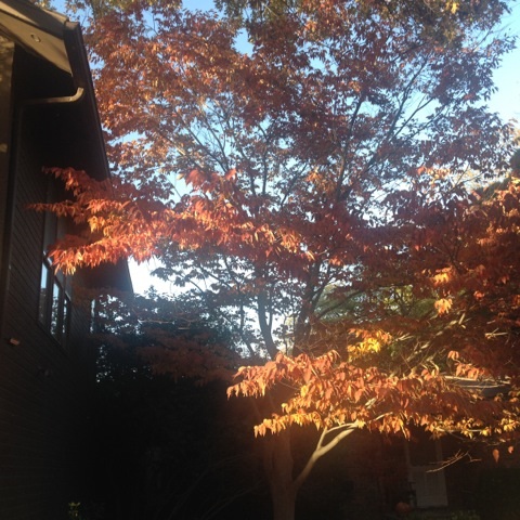 content_img.11319.img.jpg