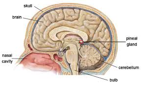 content_img.11409.img.jpg