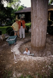 content_img.11532.img.jpg