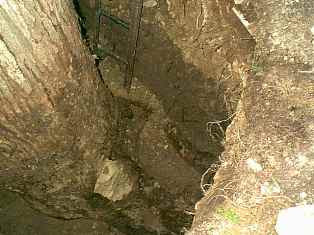 content_img.11533.img.jpg