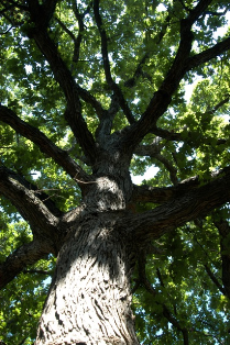 content_img.11540.img.png