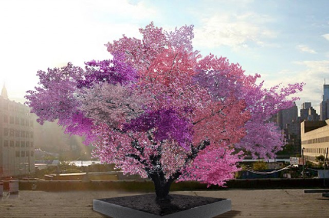 content_img.11708.img.jpg