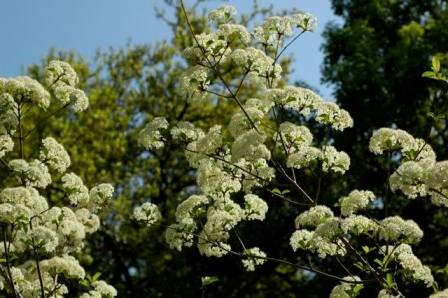 content_img.11737.img.jpg