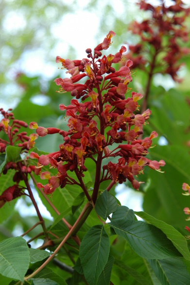 content_img.1190.img.jpg