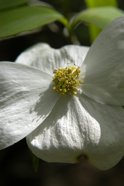 content_img.1192.img.jpg