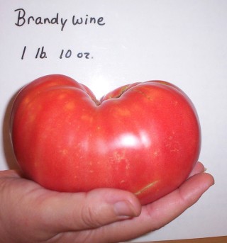 content_img.1211.img.jpg