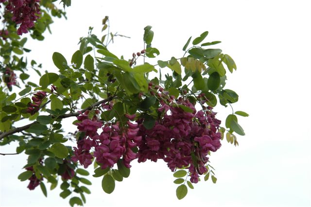 content_img.1258.img.jpg