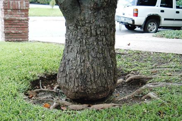 content_img.1412.img.bmp