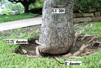 content_img.1416.img.bmp