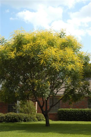 content_img.1479.img.jpg