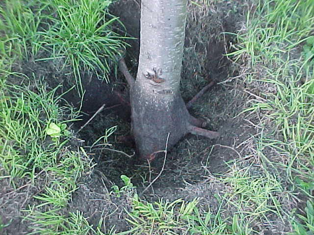 content_img.1504.img.jpg