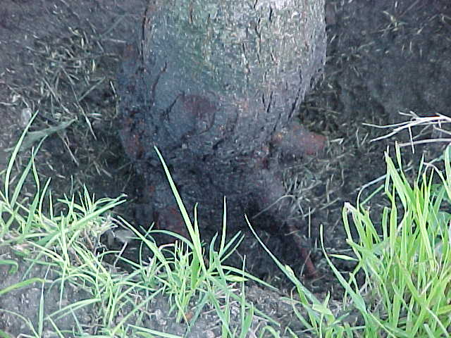 content_img.1506.img.jpg